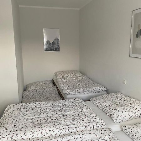 Apartman V Koutech Kouty Zewnętrze zdjęcie
